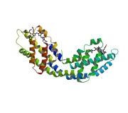 ALLOPHYCOCYANIN (APC) Fluorescent Protein (Part APC-1-Five)